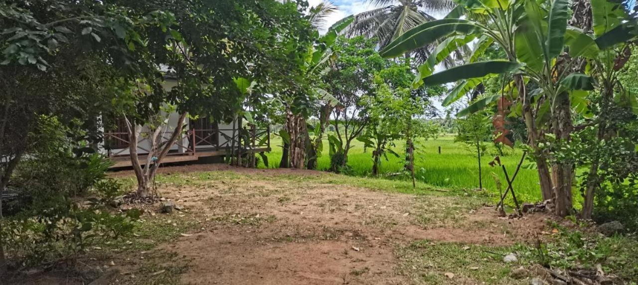 Anuradhapura Hotels Exterior photo
